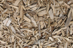 biomass boilers Shackerstone